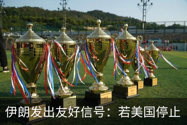 伊朗发出友好信号：若美国停止“炮火”，海峡七天内重开！
