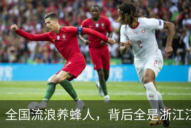 全国流浪养蜂人，背后全是浙江江山的故事