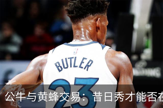 公牛与黄蜂交易：昔日秀才能否在新环境中绽放光彩？