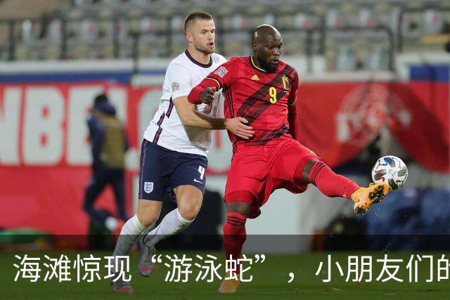 海滩惊现“游泳蛇”，小朋友们的沙滩乐园变身惊悚片！
