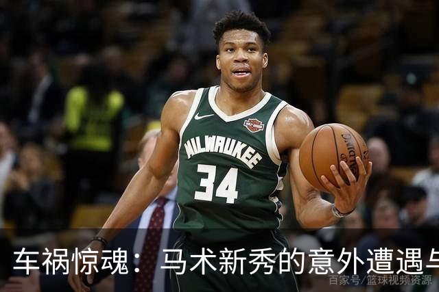 车祸惊魂：马术新秀的意外遭遇与悲伤结局